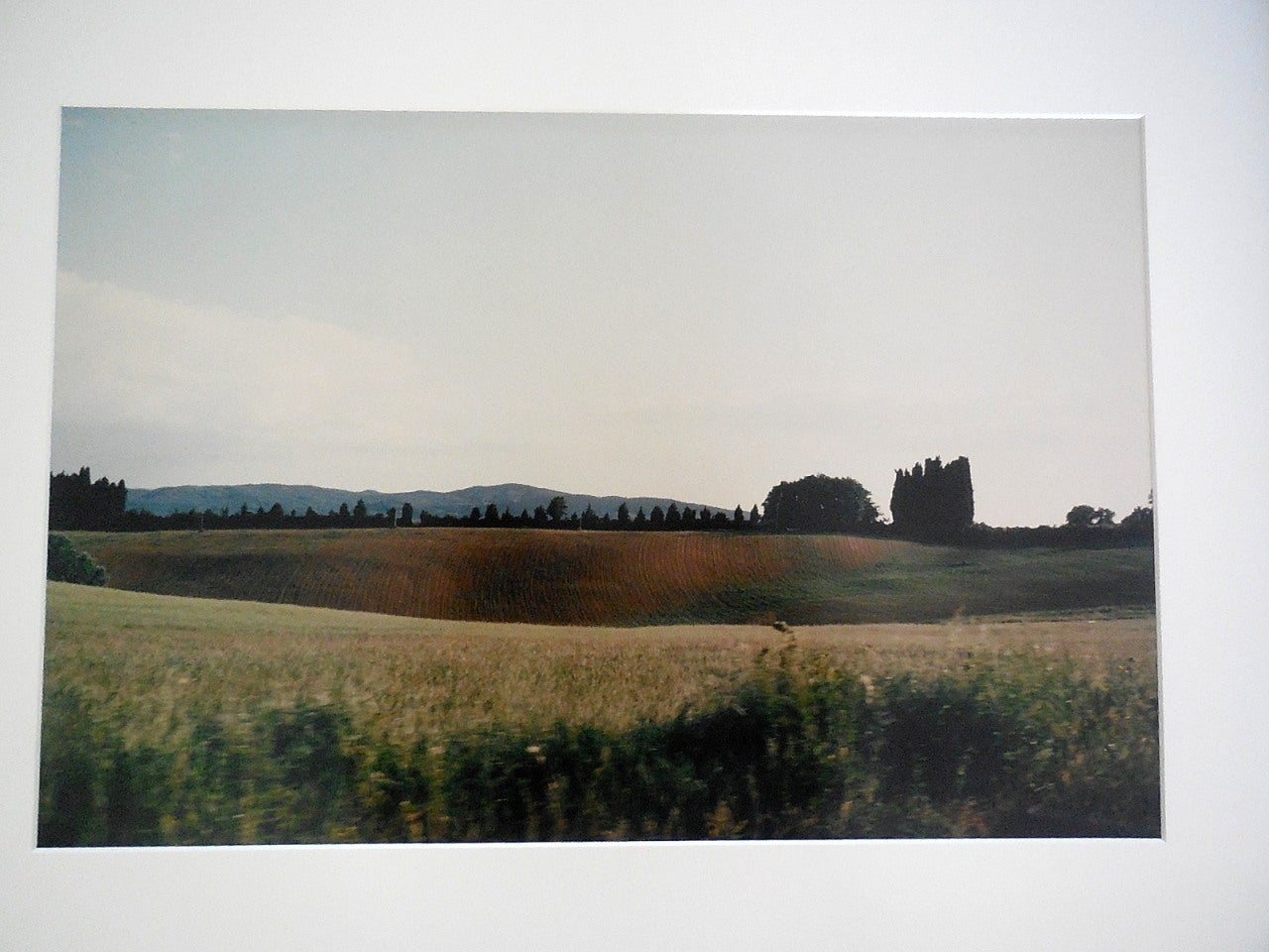 Joel Meyerowitz Landscape Photograph - Tuscany, Hillside, 1996