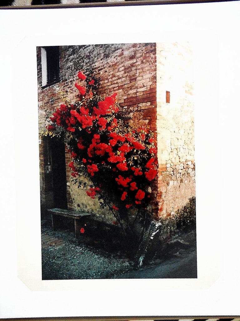 Meyerowitz first drew acclaim for his remarkable ability to capture subtlequalities of light with the 1978 publication of Cape Light, which went on to become a color photography classic, selling more than 130,000 copies. This evocative new