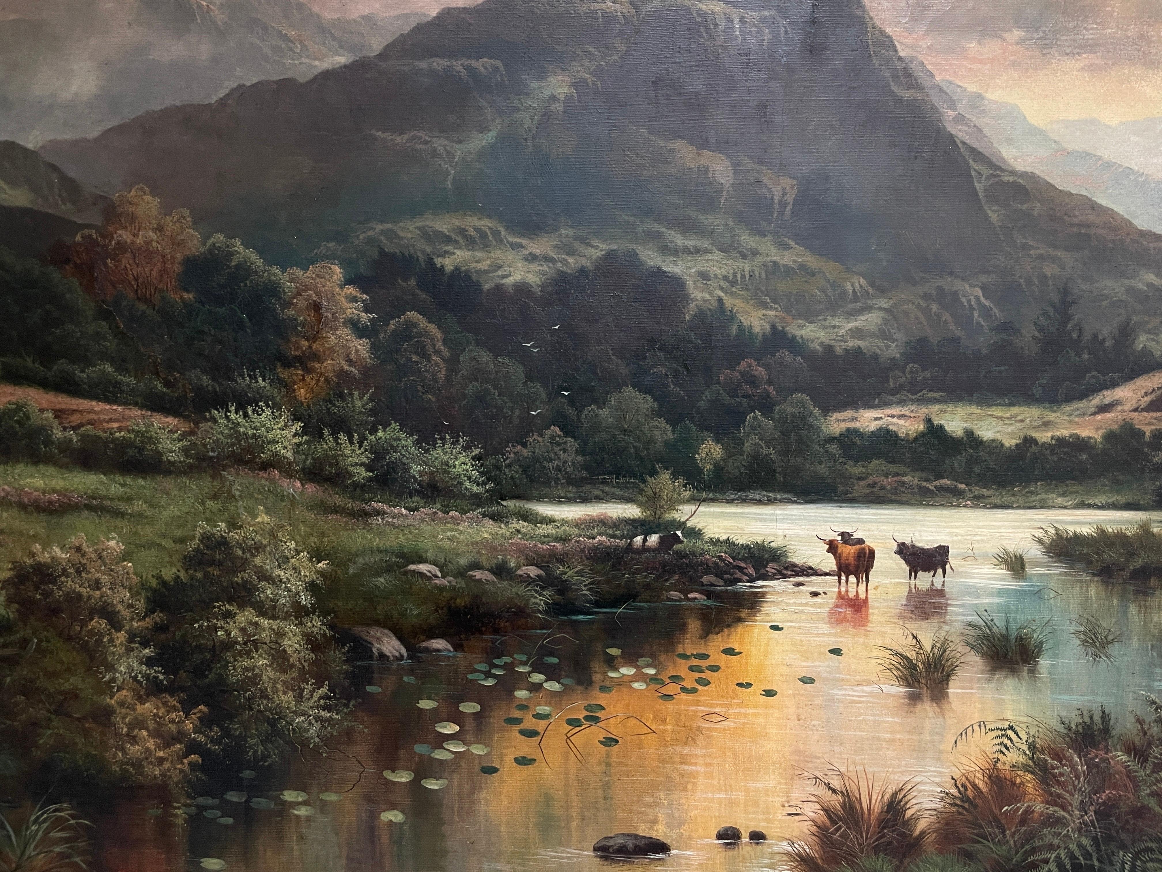 Huge Victorian Scottish Oil Painting Cattle Watering Majestic Highland Loch 1896 2