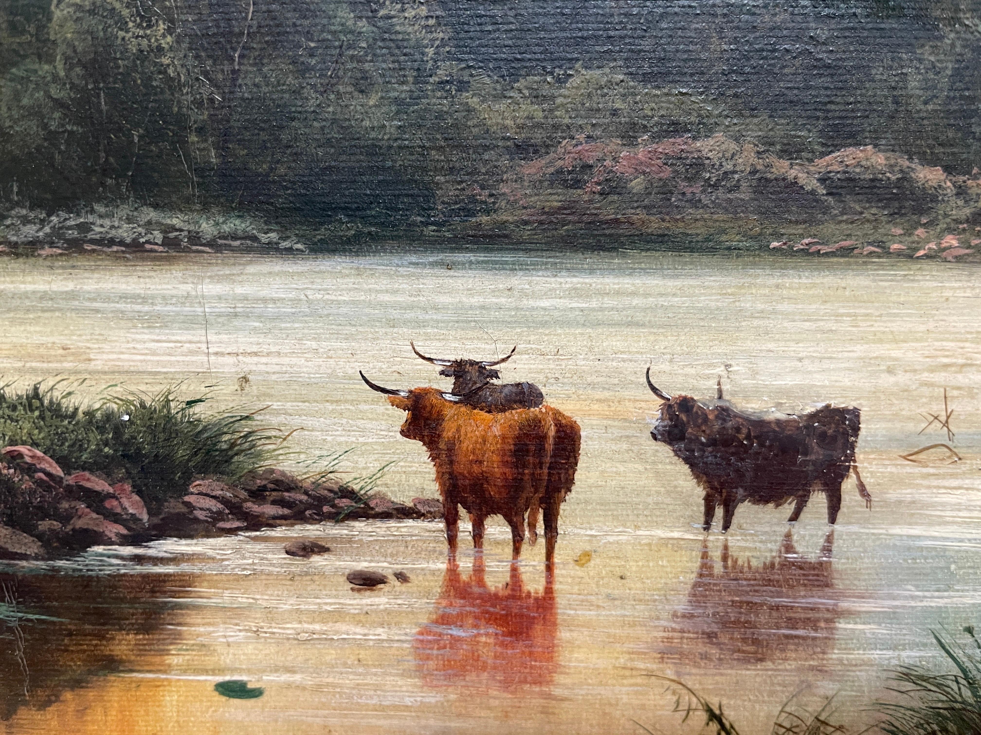 Huge Victorian Scottish Oil Painting Cattle Watering Majestic Highland Loch 1896 6