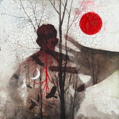 Decomposing Leaves