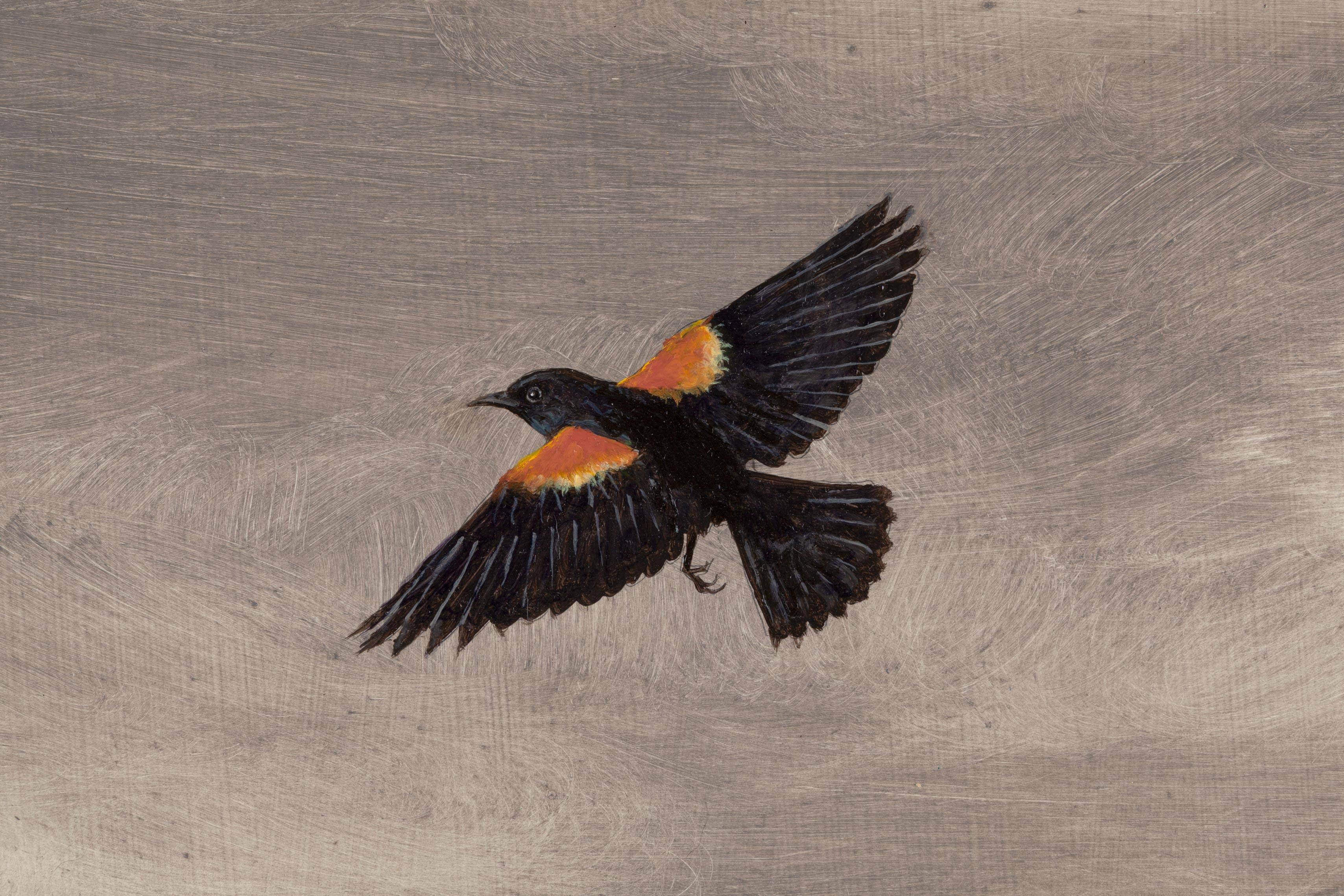 Aile rouge et sillons - Contemporain Painting par Joel Sager