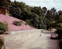 Rustic Canyon, Santa Monica, California, May 1979 - Joel Sternfeld (Colour)