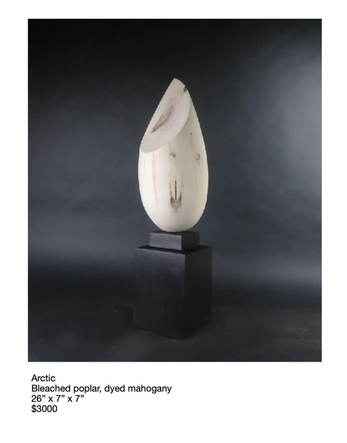 Joel Urruty - Arctic, Sculpture 2023 For Sale 1