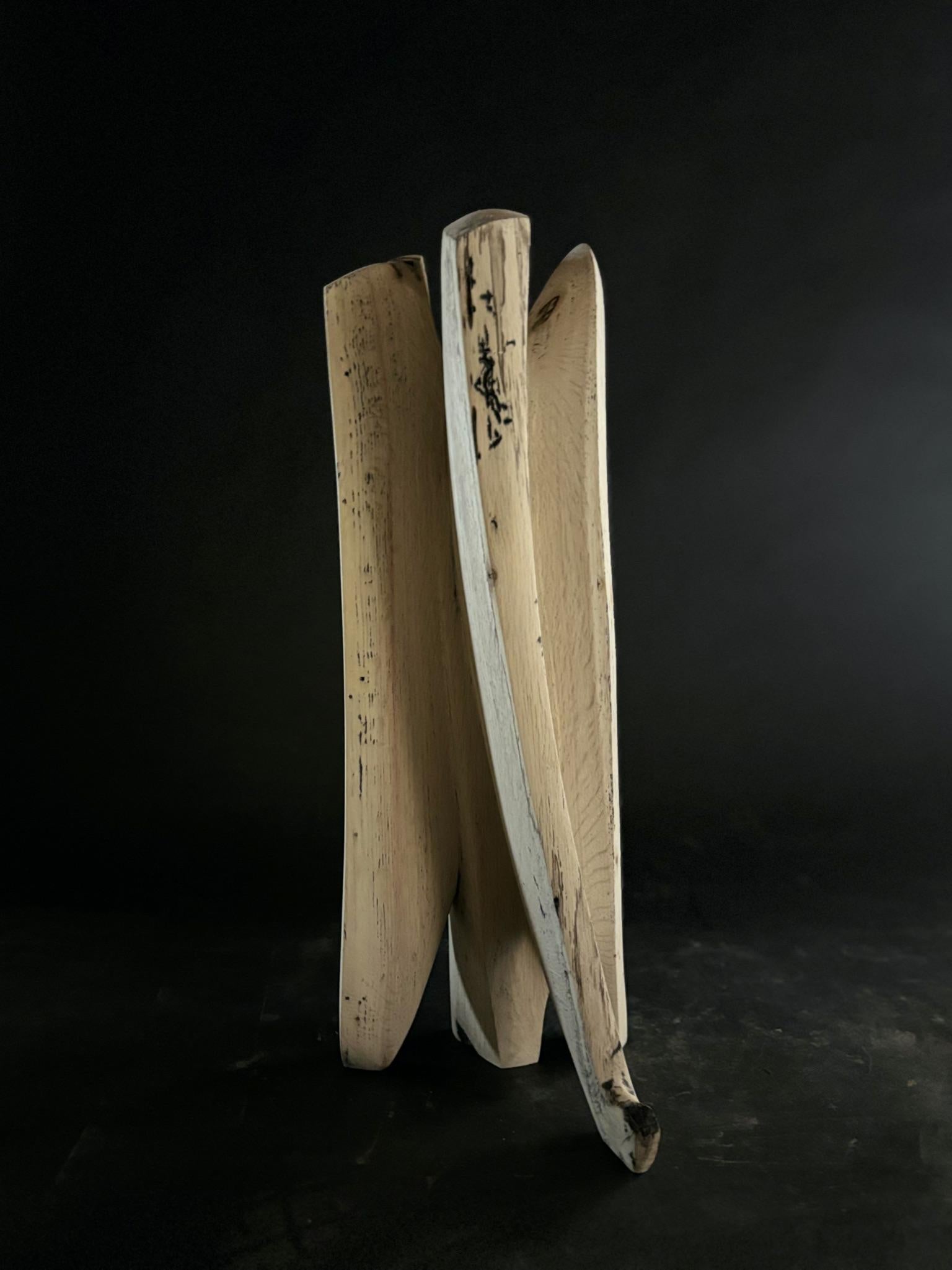 Medium: rovere imbiancato

Come artista mi sforzo di creare sculture eleganti che catturino la vera essenza del soggetto. Il linguaggio visivo è costituito da forme, linee e superfici. La figura è astratta in una forma minimalista, priva di