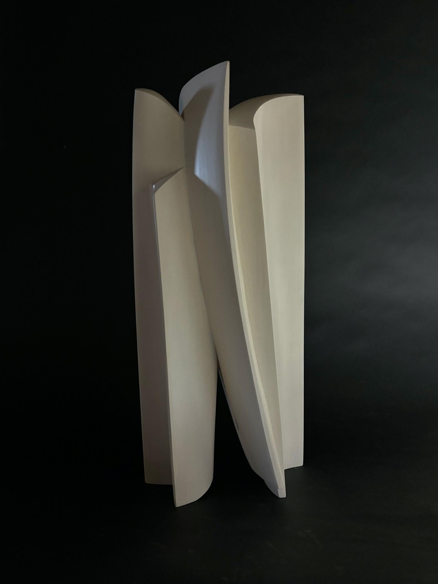 Medium: pioppo imbiancato

Come artista mi sforzo di creare sculture eleganti che catturino la vera essenza del soggetto. Il linguaggio visivo è costituito da forme, linee e superfici. La figura è astratta in una forma minimalista, priva di