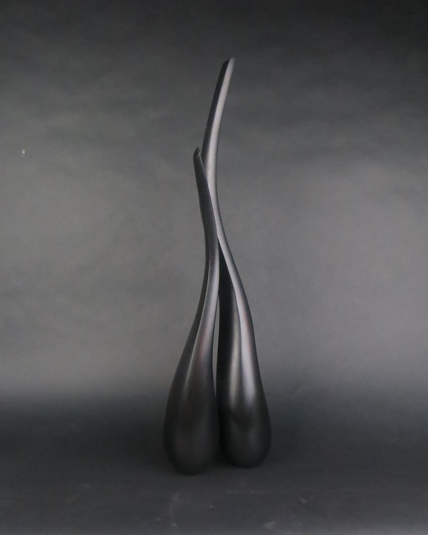As an artist I strive to create elegant sculptures that capture the true essence of the subject matter. Form, line and surface are used as the visual language. The figure is abstracted to a minimalist form, void of any superfluous information. The