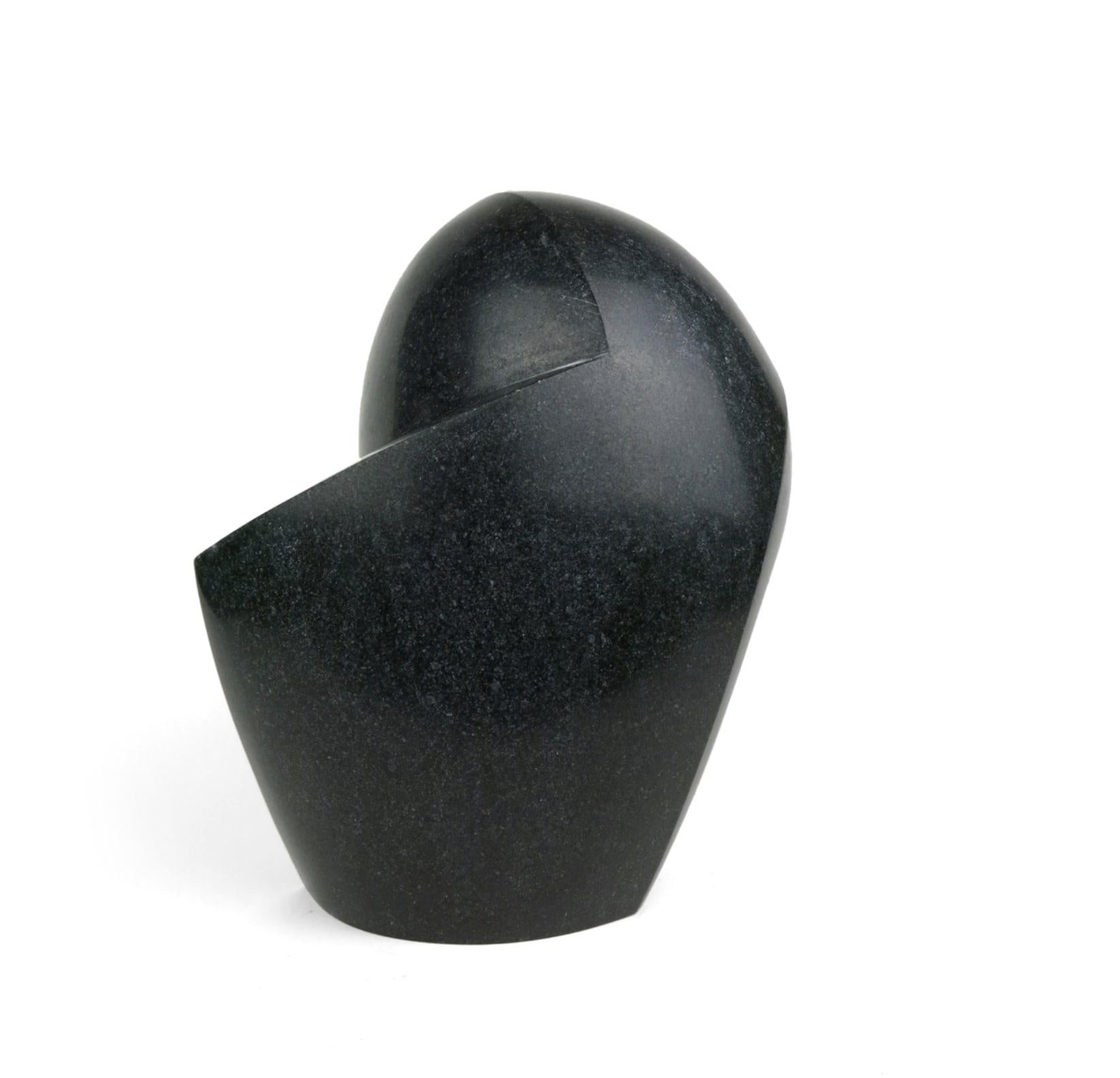 Joel Urruty - Tête (Granito negro), Escultura 2023 en venta 3