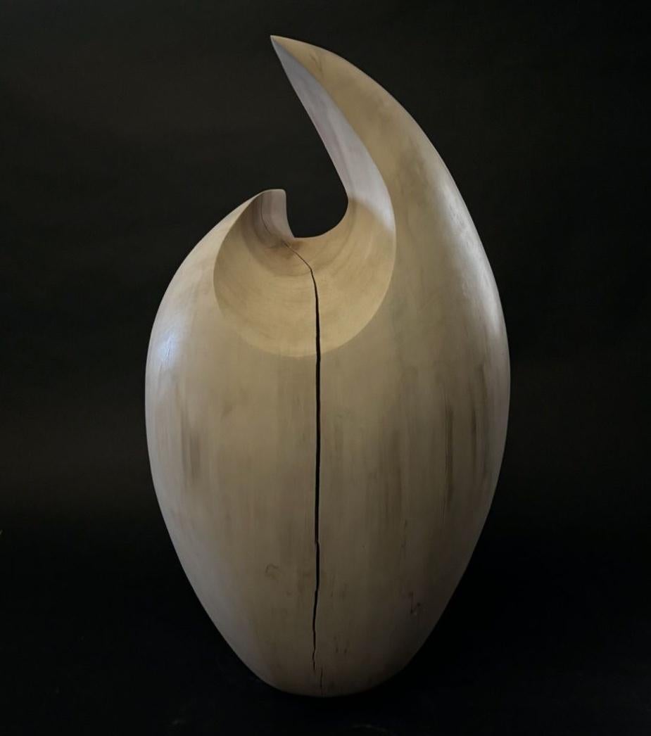 Medium: Pappel, Lack

Als Künstlerin strebe ich danach, elegante Skulpturen zu schaffen, die die wahre Essenz des Themas einfangen. Form, Linie und Oberfläche werden als visuelle Sprache verwendet. Die Figur ist zu einer minimalistischen Form