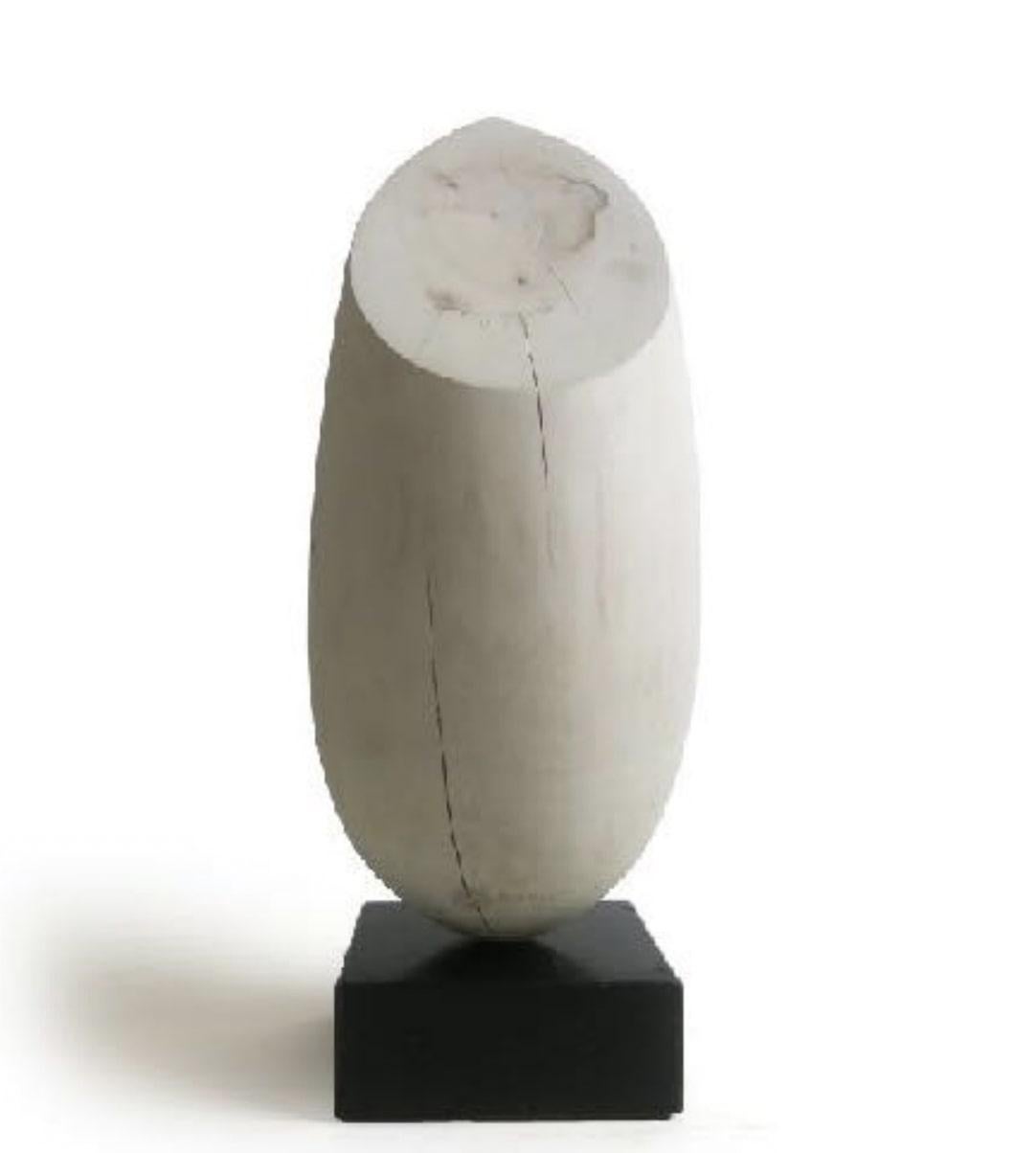 Soporte: álamo blanqueado, hormigón


Como artista, me esfuerzo por crear esculturas elegantes que capten la verdadera esencia del tema. La forma, la línea y la superficie se utilizan como lenguaje visual. La figura se abstrae a una forma