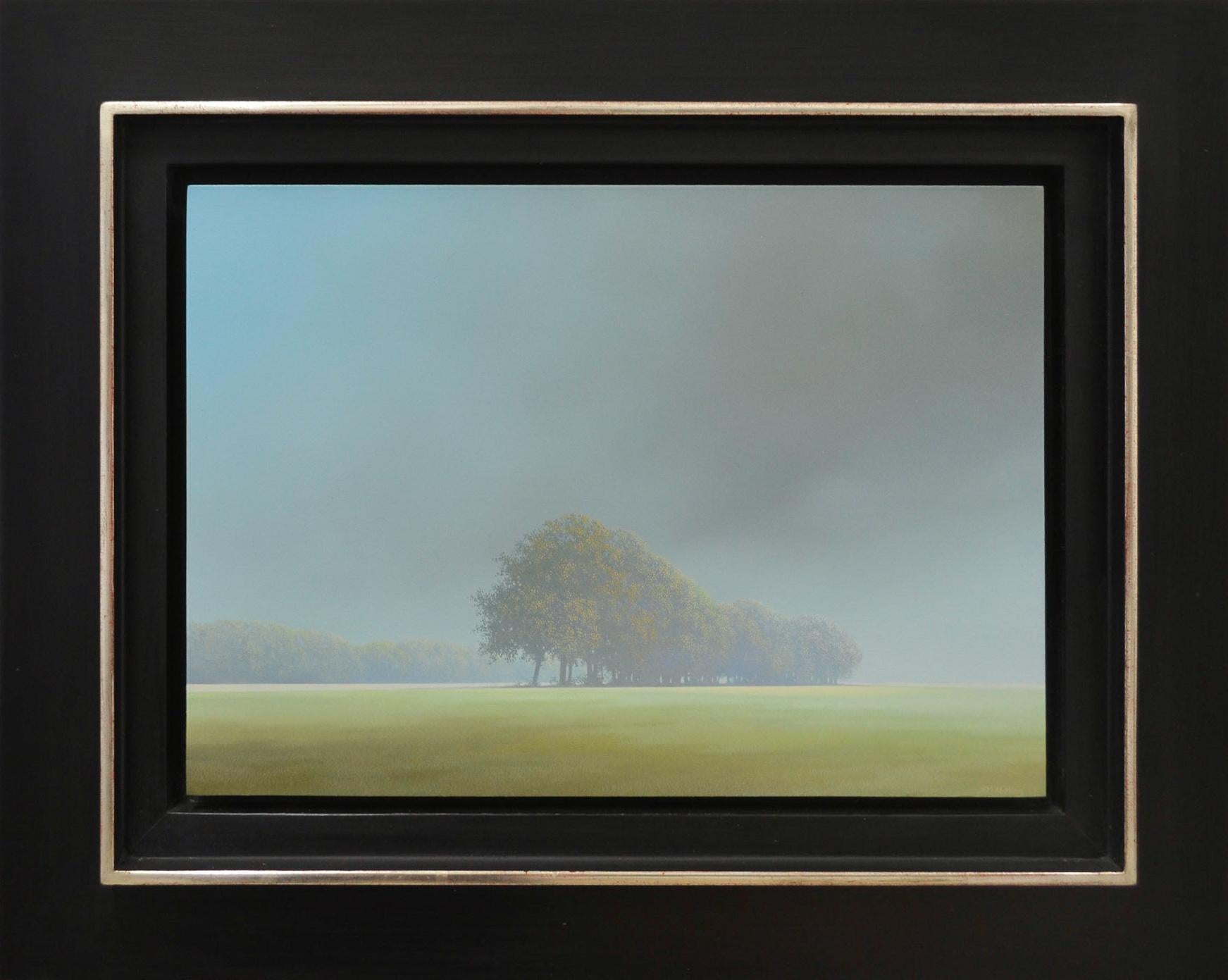 The work of artist Johan Abeling stands out because of the mysterious ambiance it has. The complete abandoning in his paintings creates an unreal ambiance. He paints in preference the expansive Northern-Dutch landscape in which he places displaced