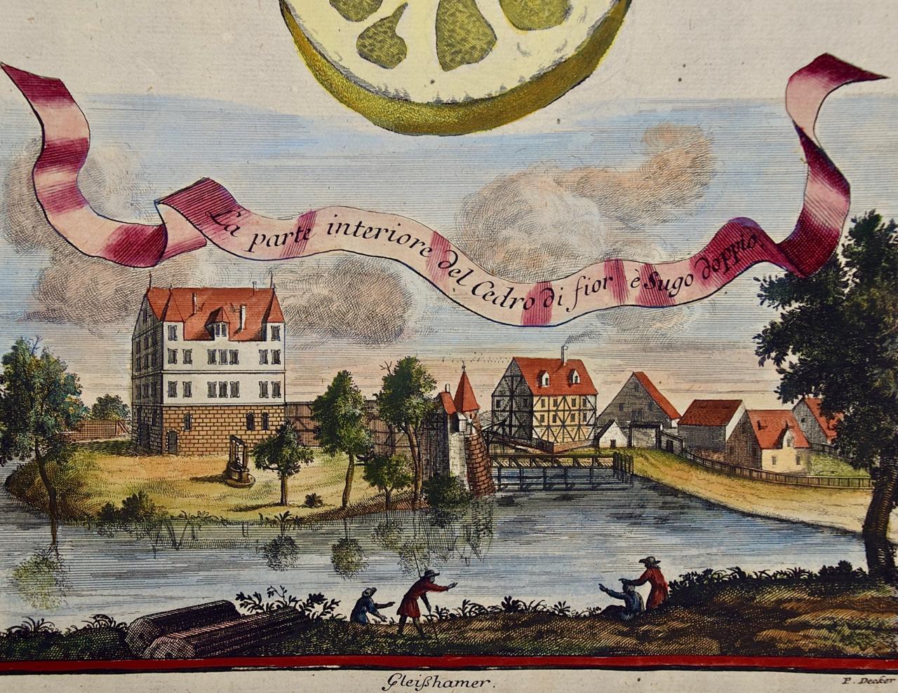 Gravure à la main de citrons « La parte interiore » (La partie intérieure) de Volckamer du début du 18e siècle, colorée à la main - Naturalisme Print par Johan Christoph Volkhamer