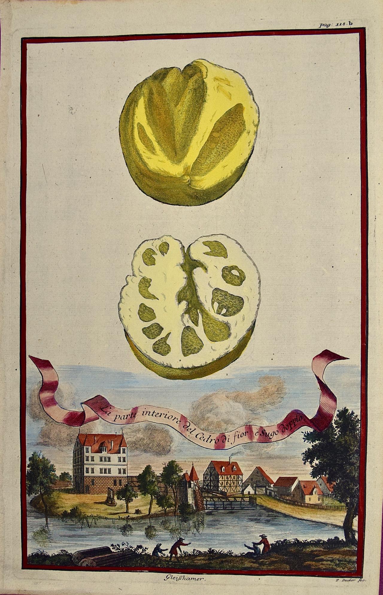 Landscape Print Johan Christoph Volkhamer - Gravure à la main de citrons « La parte interiore » (La partie intérieure) de Volckamer du début du 18e siècle, colorée à la main