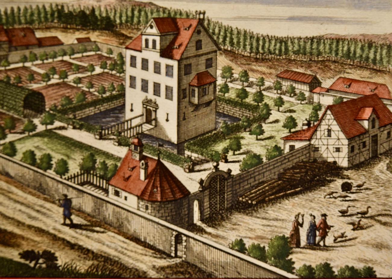 Pompelmus (Pomelo): Un grabado coloreado a mano de principios del siglo XVIII por Volckamer en venta 1