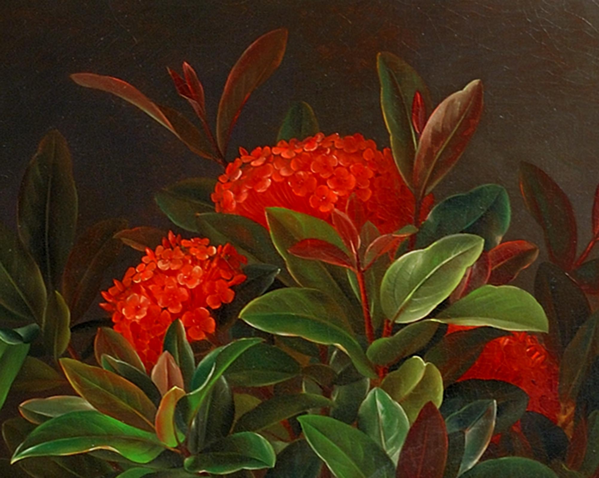 Allemanda, Ixora and Orchids - Painting by Johan Laurentz Jensen