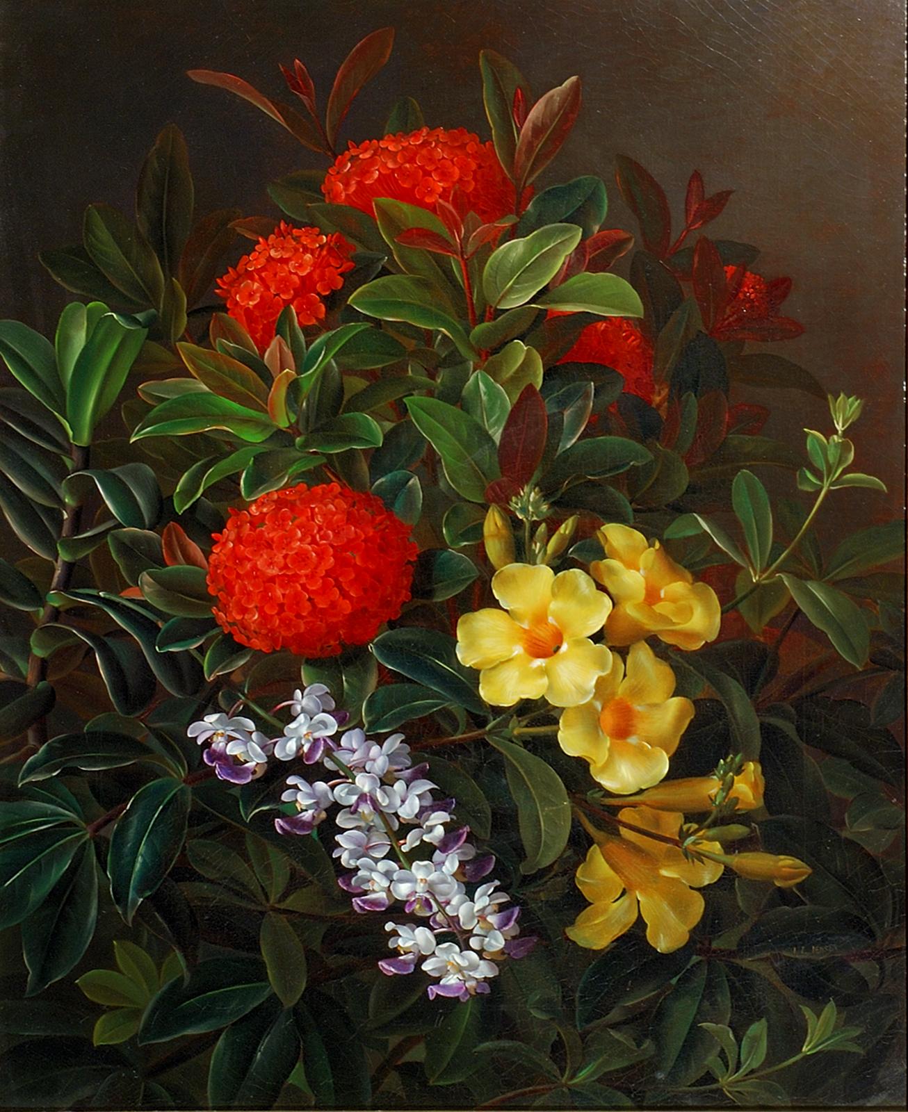 Johan Laurentz Jensen Still-Life Painting - Allemanda, Ixora and Orchids