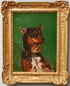 Miniature Pinscher, Portrait