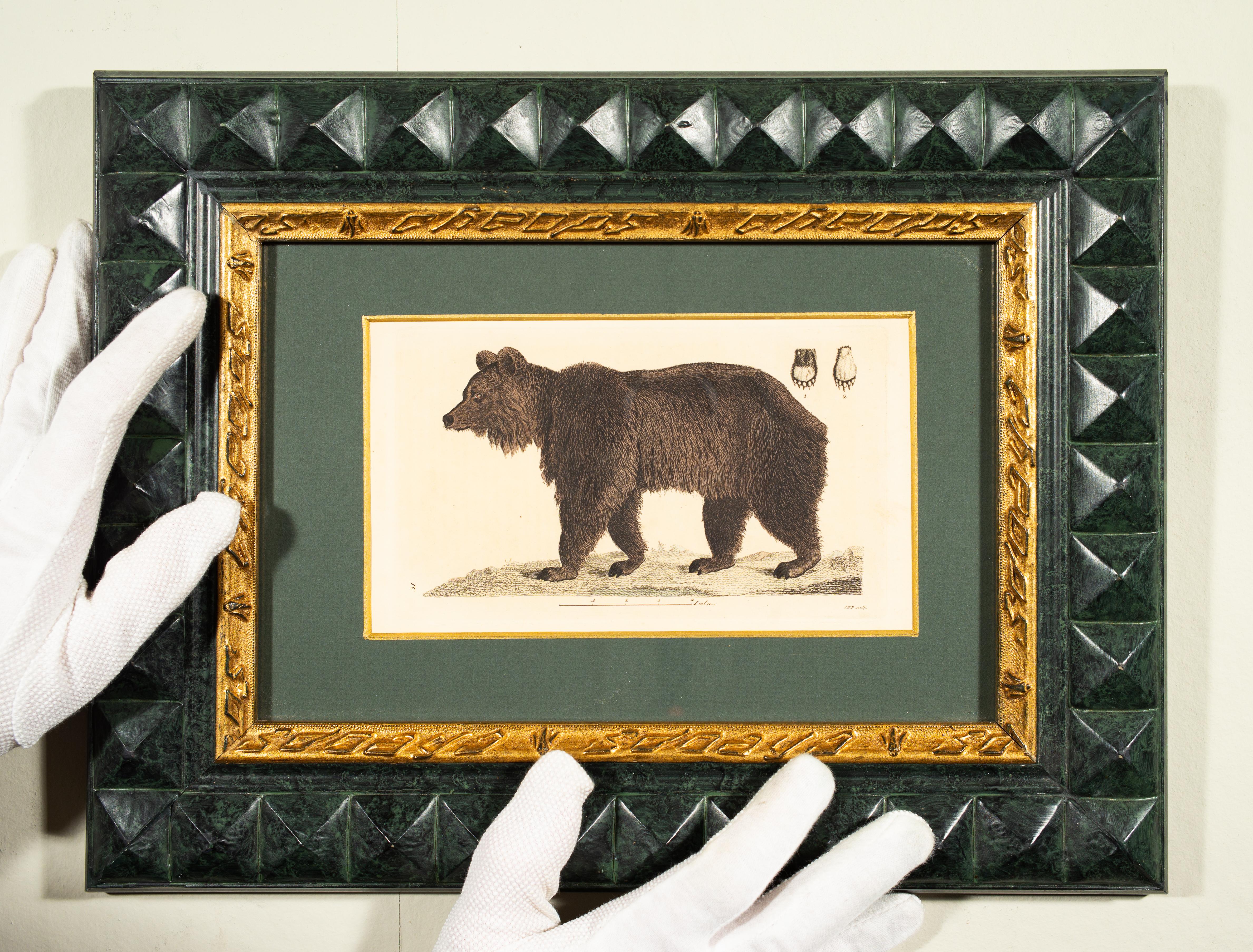 Un ours, imprimé coloré à la main du début des années 1800 par Johan Wilhelm Palmstruch en vente 2