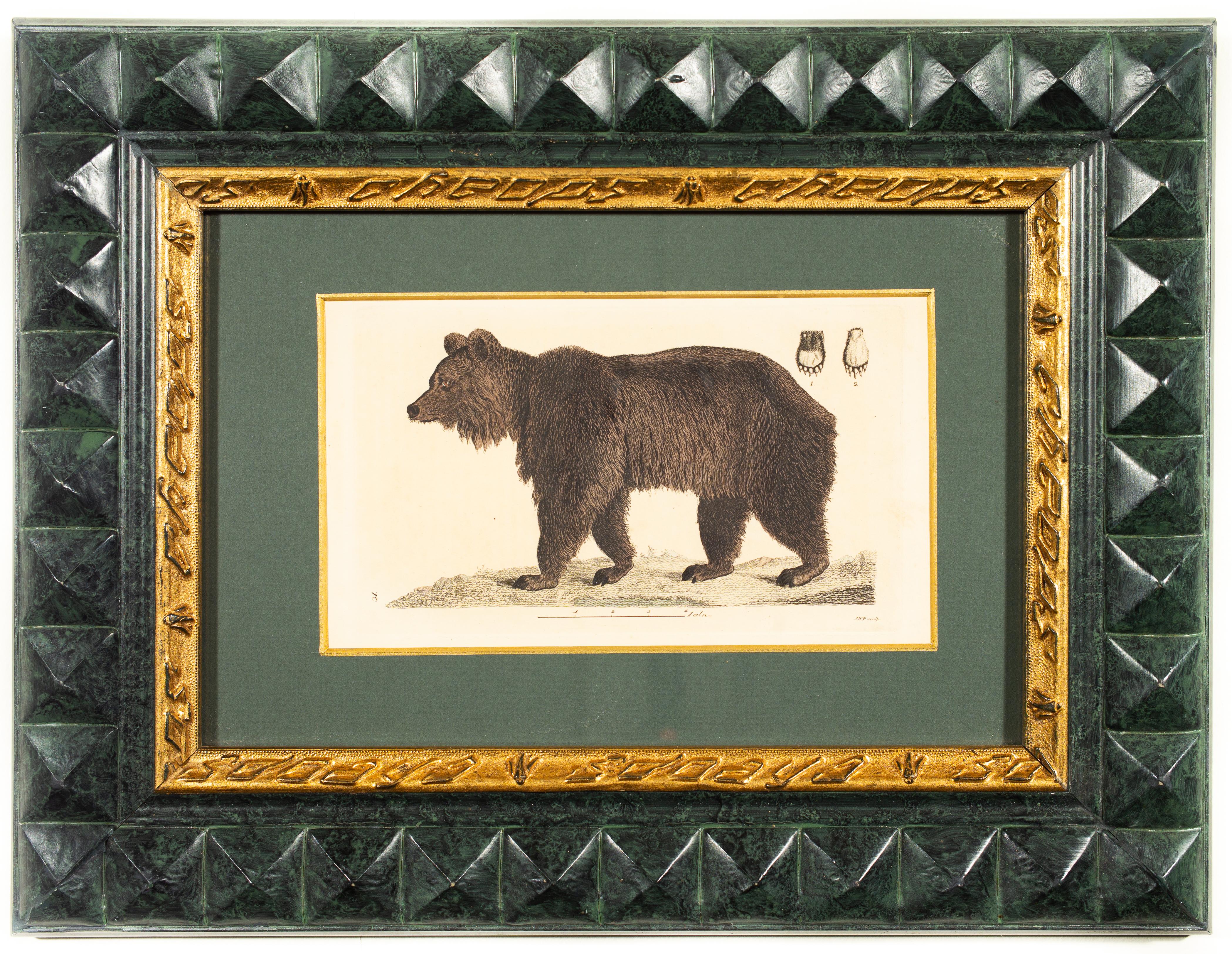 Johan Wilhelm Palmstruch (1770-1811) Suède

Titre : Un ours

impression colorée à la main 
début des années 1800 
dimensions de l'impression : 11 x 18 cm (4,33 x 7,08 pouces) environ 
cadre 11.81 x 15.74 pouces (30 x 40 cm)

Johan Wilhelm Palmstruch