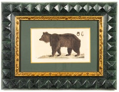 A Bear, Hand-Colored Print From The Early 1800s by Johan Wilhelm Palmstruch