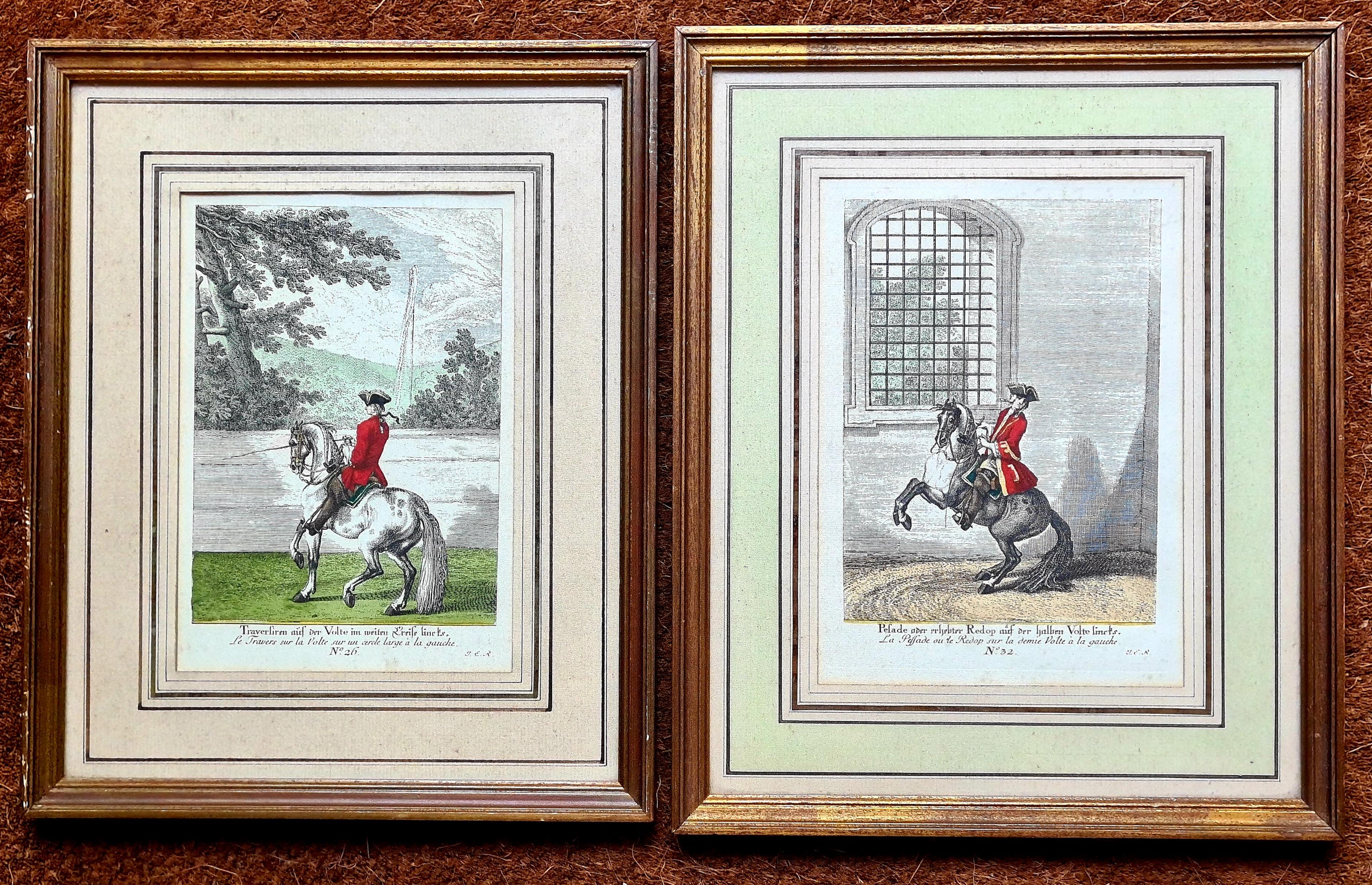 Rococo Animal Prints