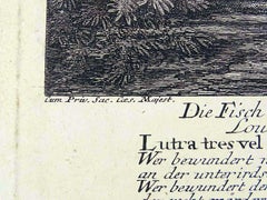 18th C. Copperplate Engraving by Johann Elias Ridinger "The Fish Otter"