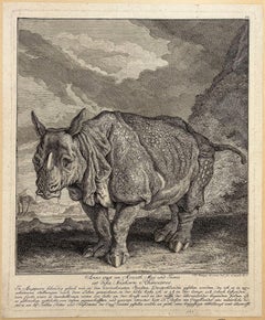 Le Rhinocéros "Miss Clara". Nashorn Rhinozeros. 1748.