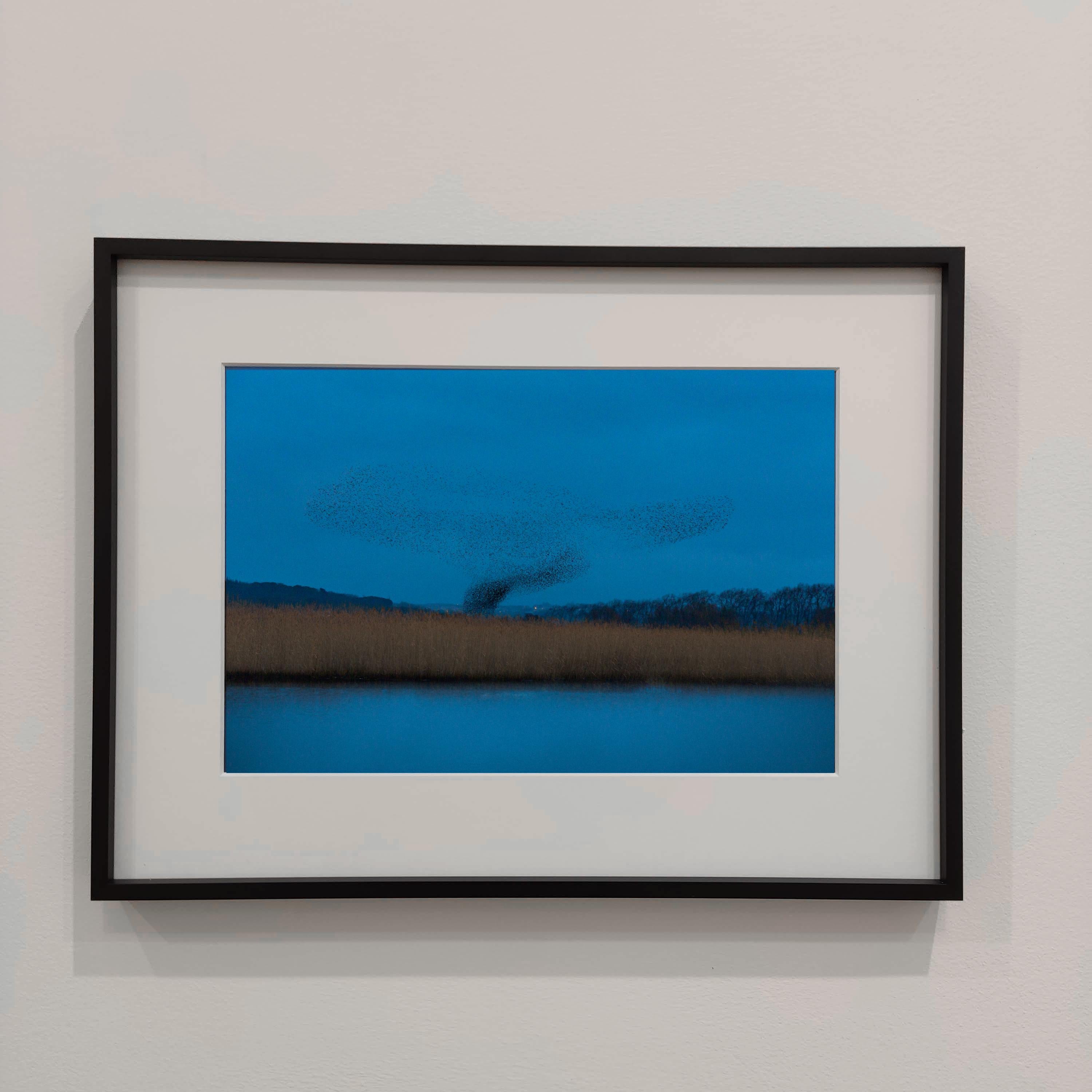 Bleus Refuges - Photographie couleur, photographie de paysage, oiseaux, ciel bleu en vente 1