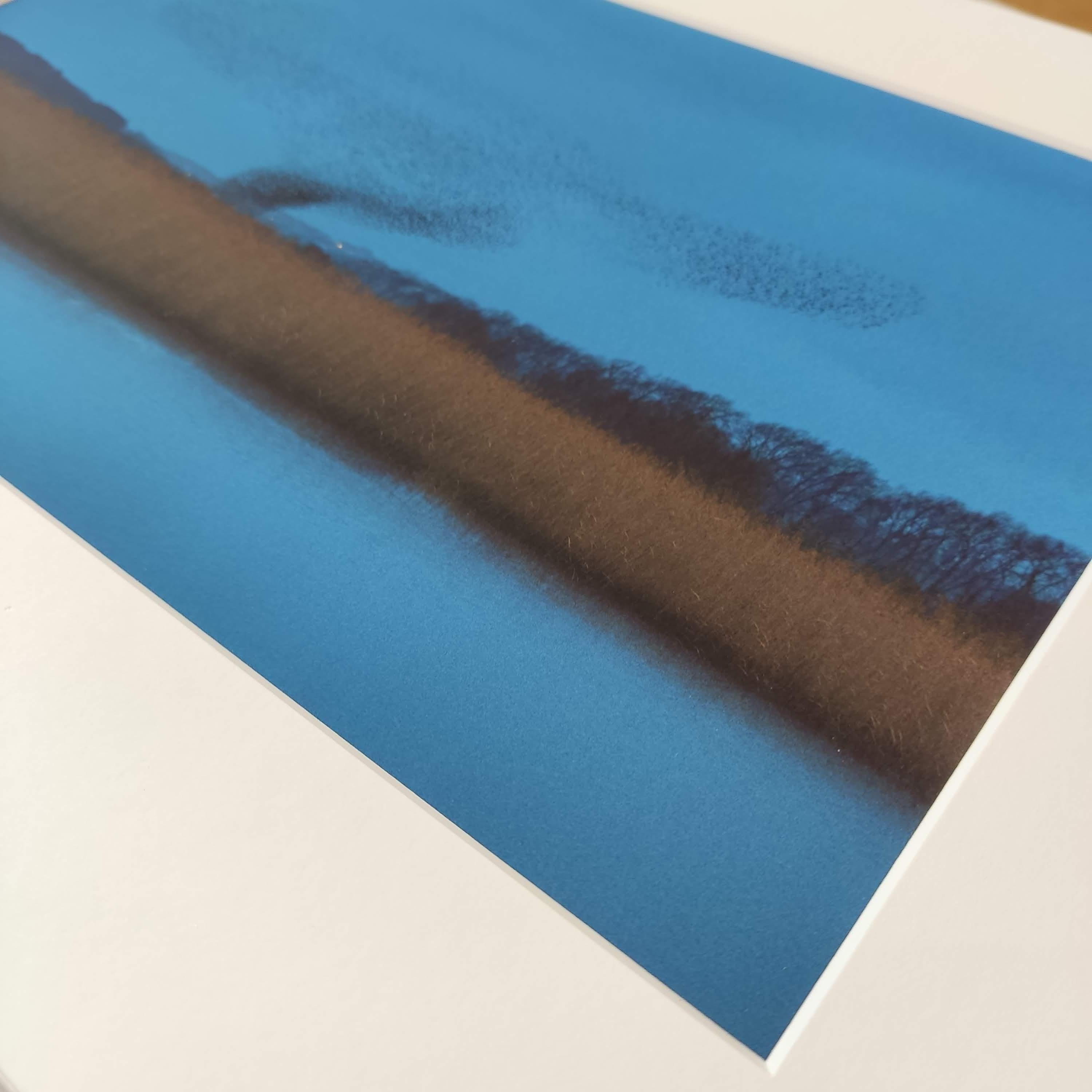 Bleus Refuges - Photographie couleur, photographie de paysage, oiseaux, ciel bleu en vente 2