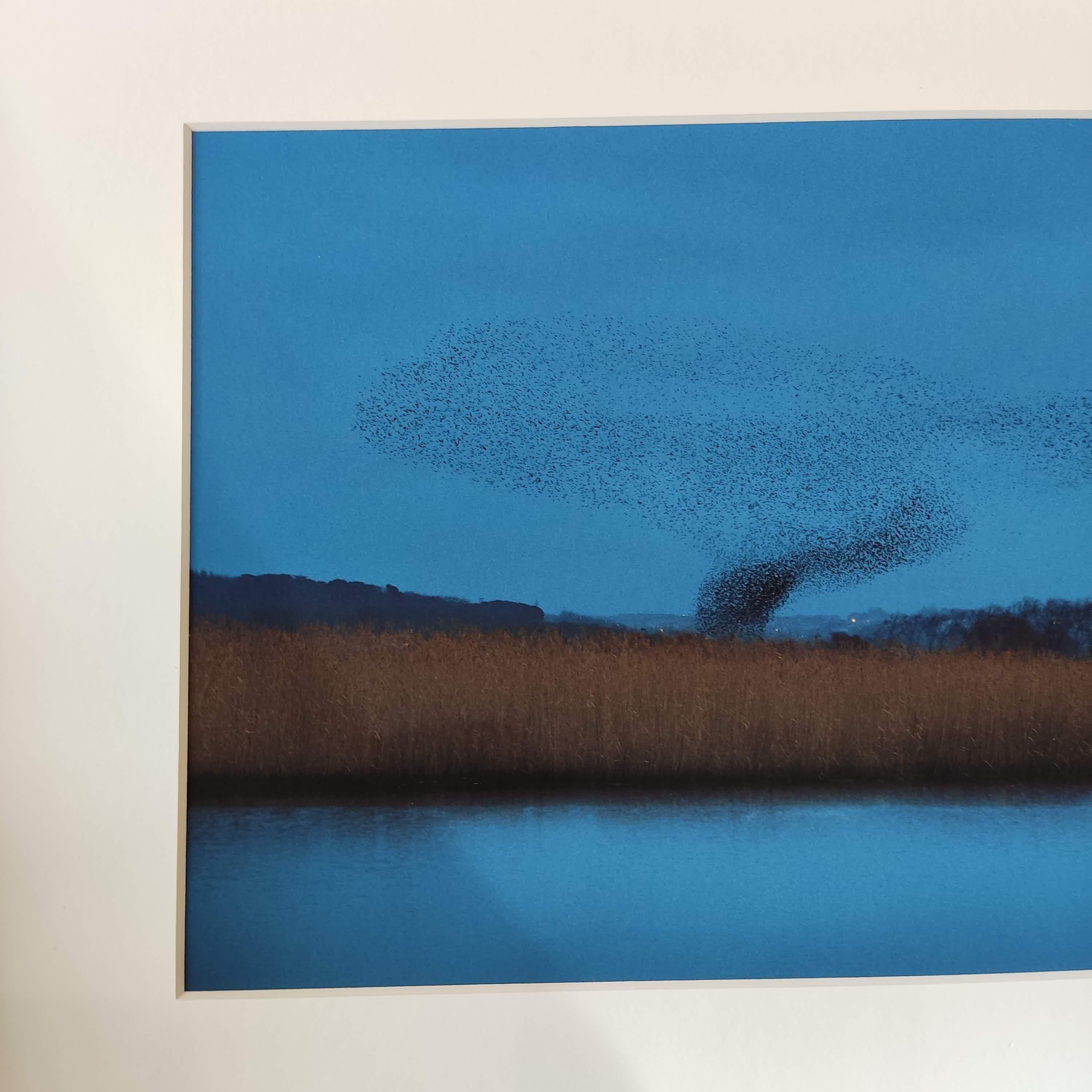 Bleus Refuges - Color Photography, Landscape Photography, Birds, Blue Sky For Sale 4