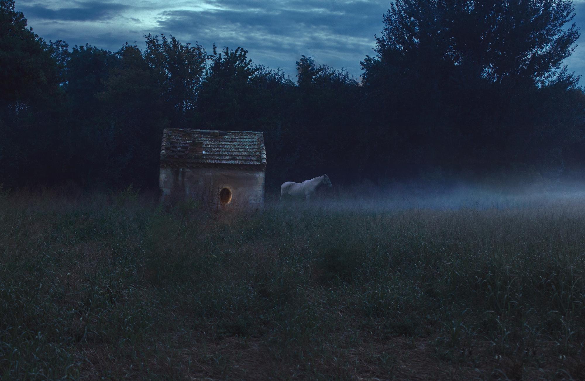 Johann Fournier Color Photograph – J'irai avec les chevaux – Farbfotografie, Archivalischer Pigmentdruck, Pferd