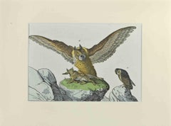 Great Owl - Etching by Johann Friedrich Naumann - 1840