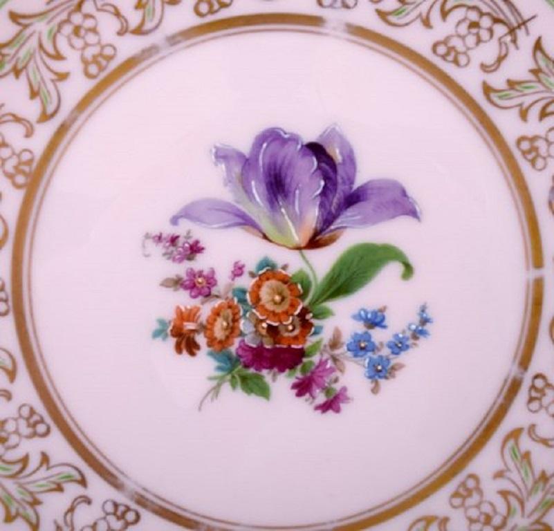 Victorien Johann Haviland, Bavière, Allemagne, 14 assiettes décoratives en porcelaine peinte à la main en vente