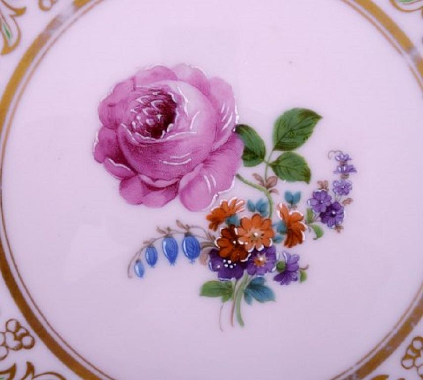 Allemand Johann Haviland, Bavière, Allemagne, 14 assiettes décoratives en porcelaine peinte à la main en vente