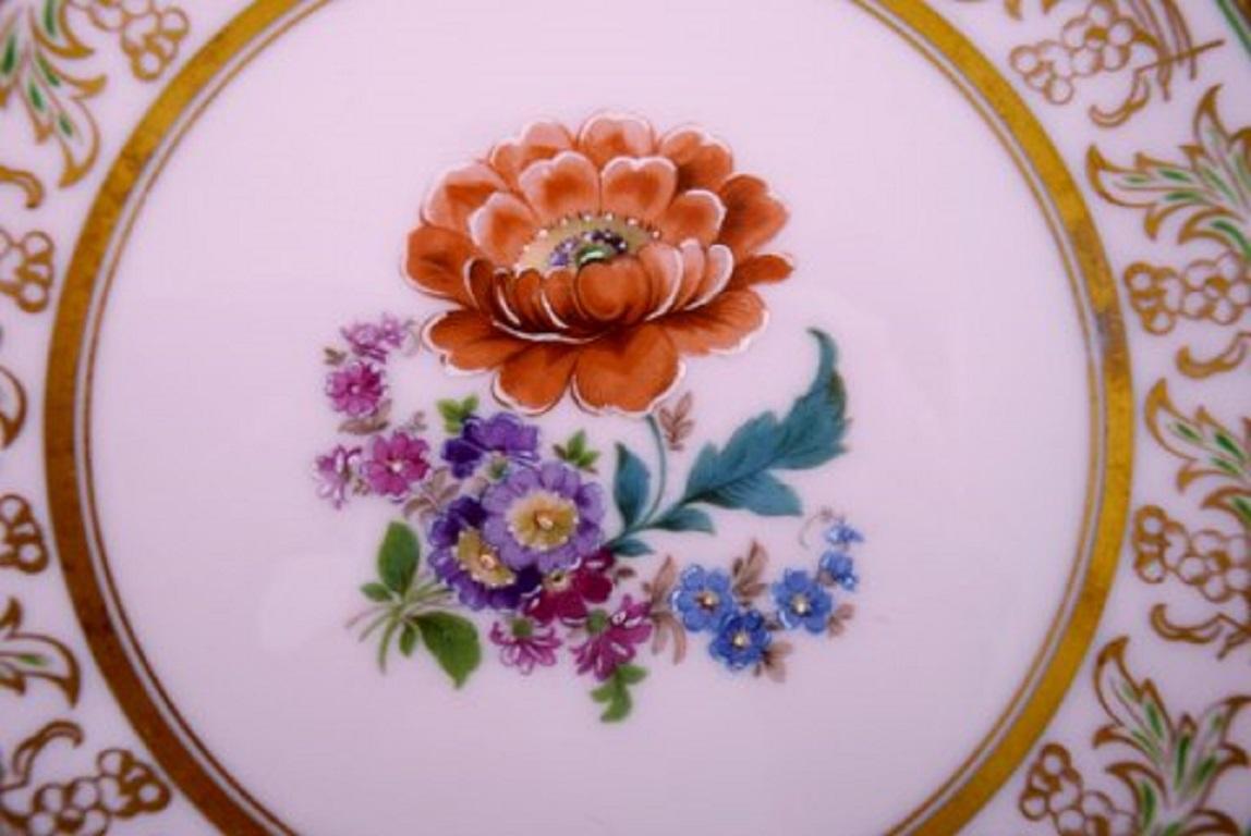 Victorian Johann Haviland Bavaria, Germany, 14 Decorative Plates in Hand Painted Porcelain For Sale