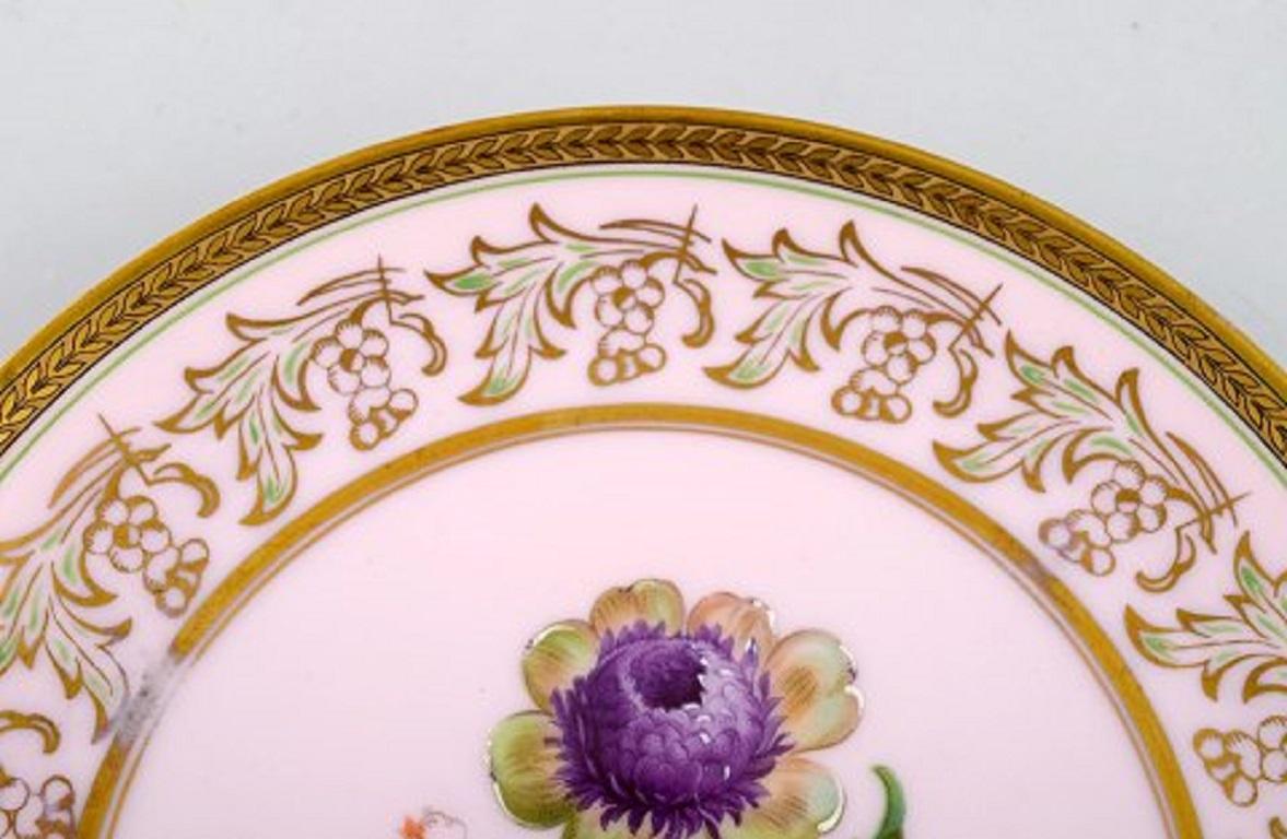 Porcelaine Johann Haviland, Bavière, Allemagne, 14 assiettes décoratives en porcelaine peinte à la main en vente