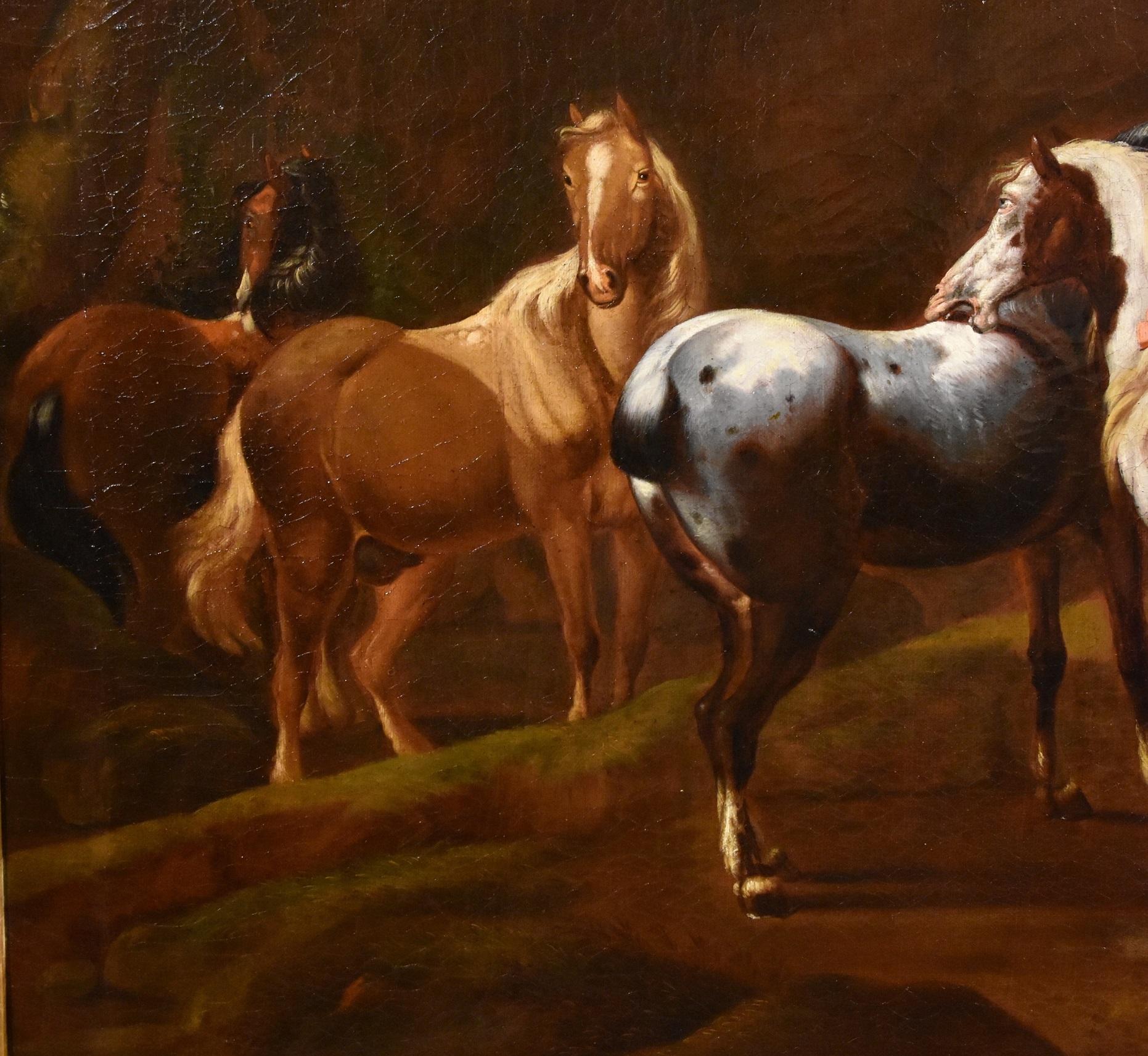 Peinture de cheval mercuré Roos Landscape Mythe Huile sur toile Grand maître 17ème siècle en vente 12