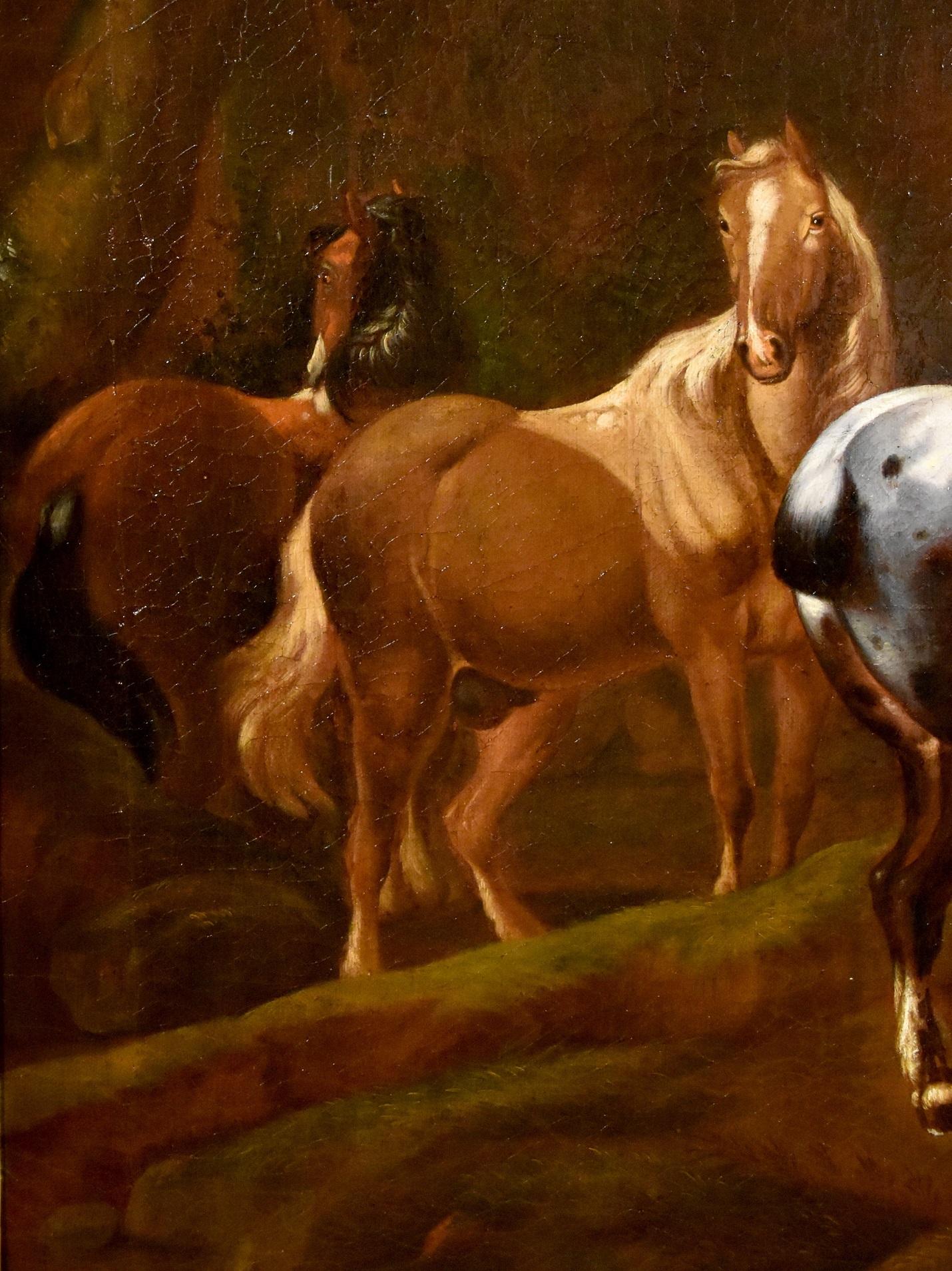Peinture de cheval mercuré Roos Landscape Mythe Huile sur toile Grand maître 17ème siècle en vente 13