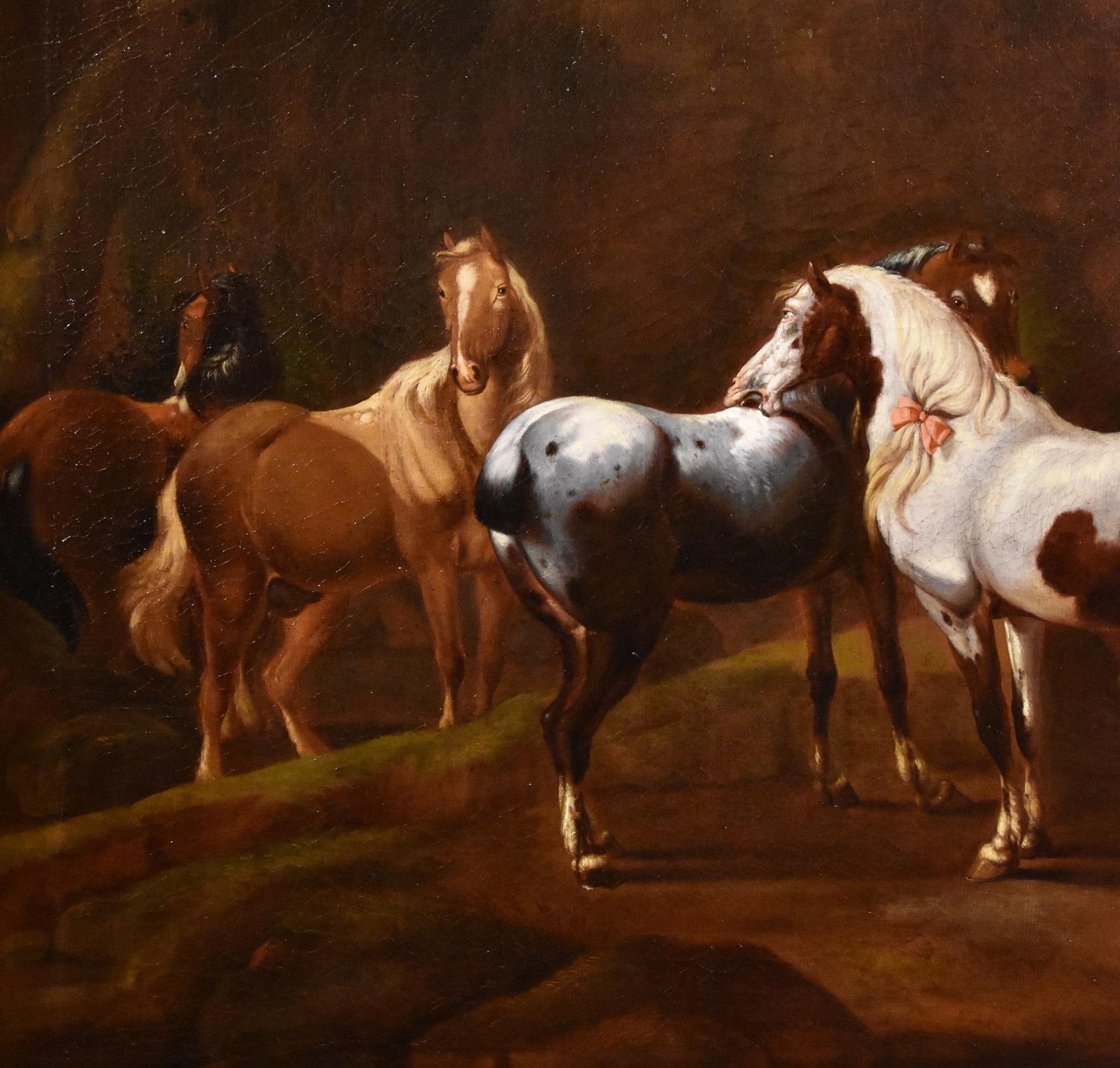 Peinture de cheval mercuré Roos Landscape Mythe Huile sur toile Grand maître 17ème siècle en vente 3