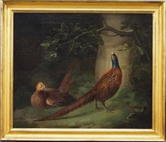 Pheasants in a woodland landscape