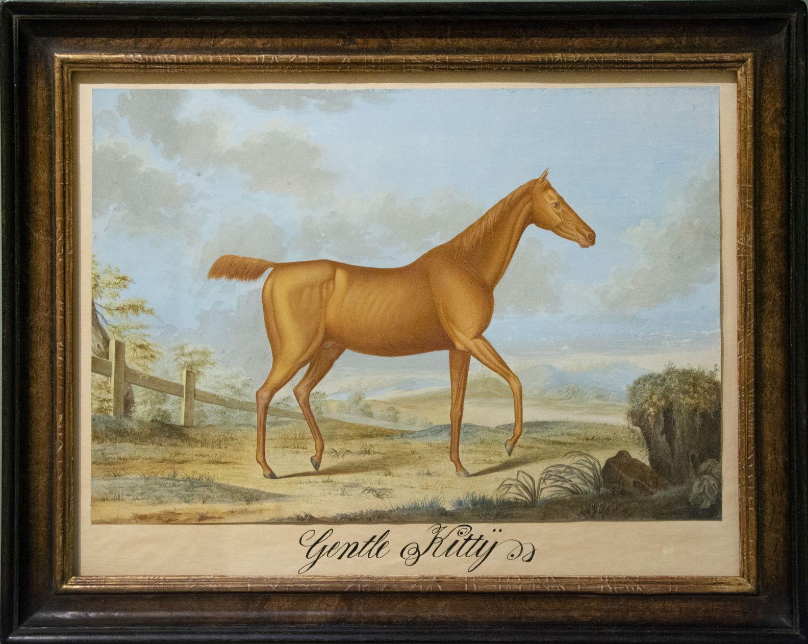 Johann Meno Haas  Animal Print - [A Pair of Horses] ‘Gentle Kitty’ and ‘Melilcoma’.