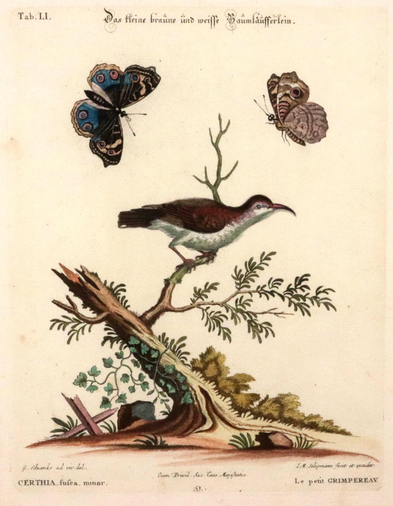 Johann Seligmann Ensemble de six gravures d'oiseaux aquatiques en vente 9
