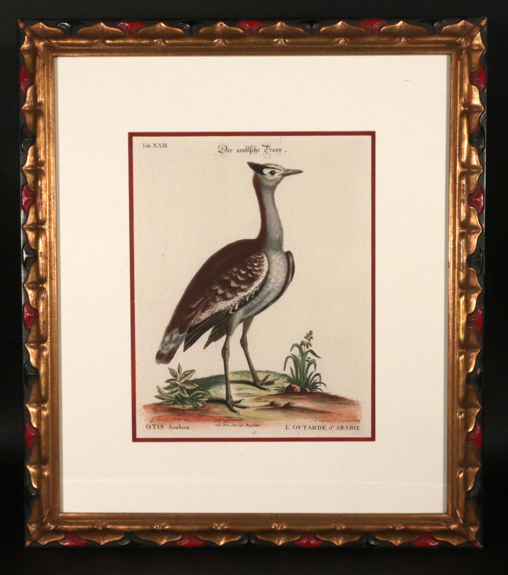 Johann Seligmann Ensemble de six gravures d'oiseaux aquatiques en vente 13