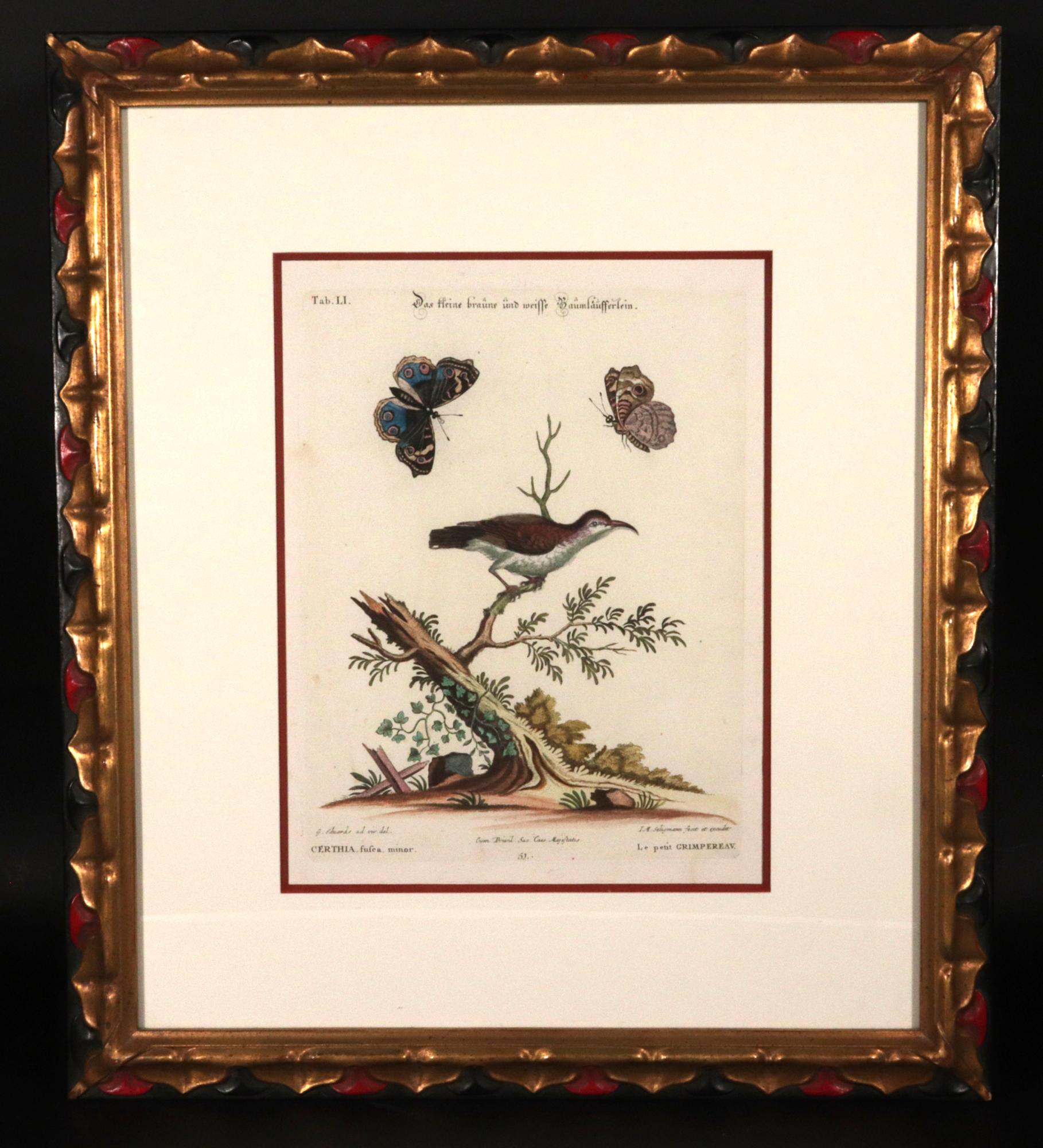 Georgien Johann Seligmann Ensemble de six gravures d'oiseaux aquatiques en vente