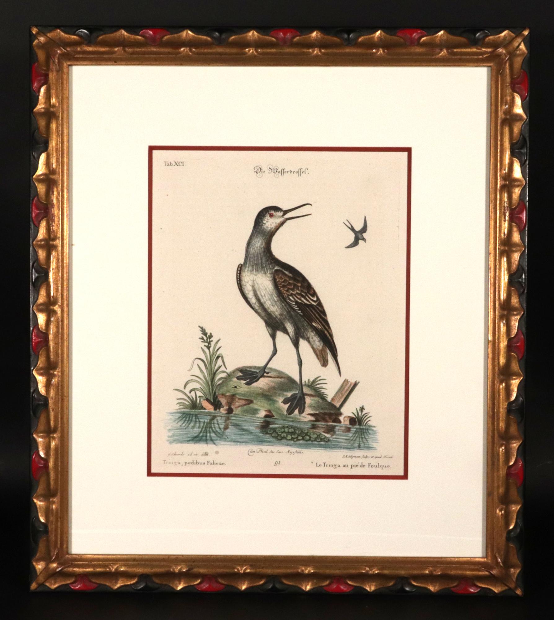 Johann Seligmann Ensemble de six gravures d'oiseaux aquatiques Bon état - En vente à Downingtown, PA
