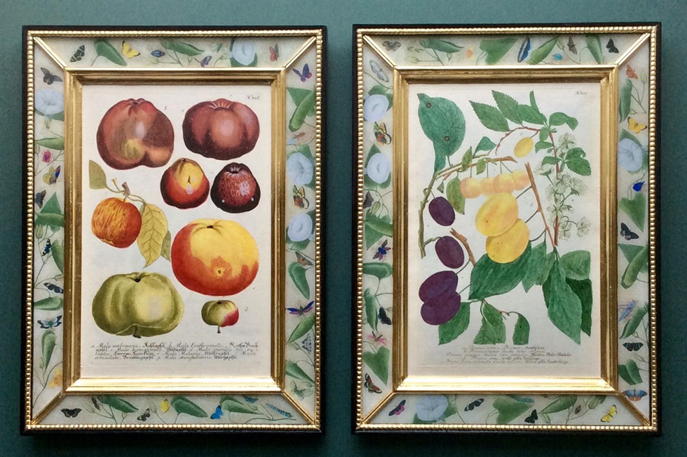 Johann Weinmann botanical engravings,
circa 1740

A fine set of twelve Johann Weinmann engravings of exotic fruits within modern decoupage botanical frames.

Dimensions: 19 3/4 inches x 14 3/4 inches x 1 1/8 inches. (50.17cm high x 37.47cm).