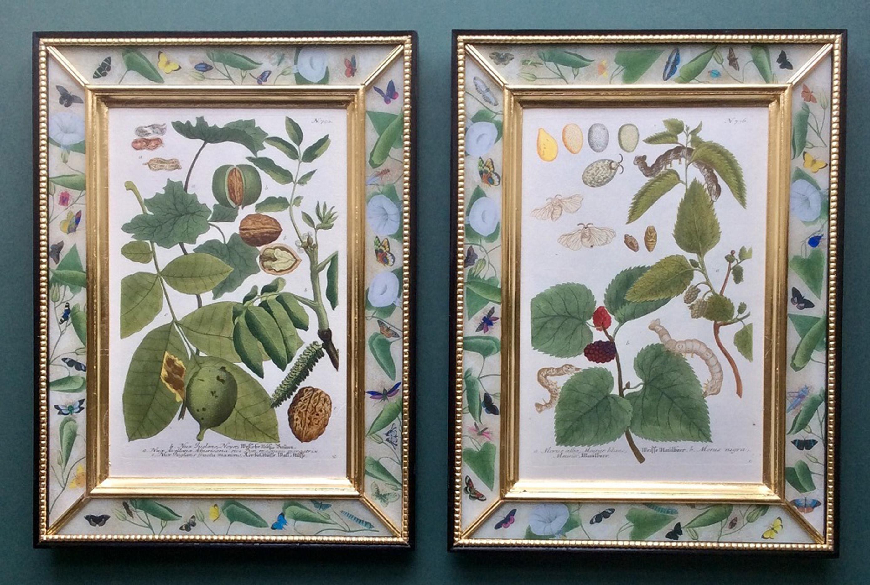 Johann Weinmann Botanical and Fruit Engravings, circa 1740 In Good Condition In Downingtown, PA