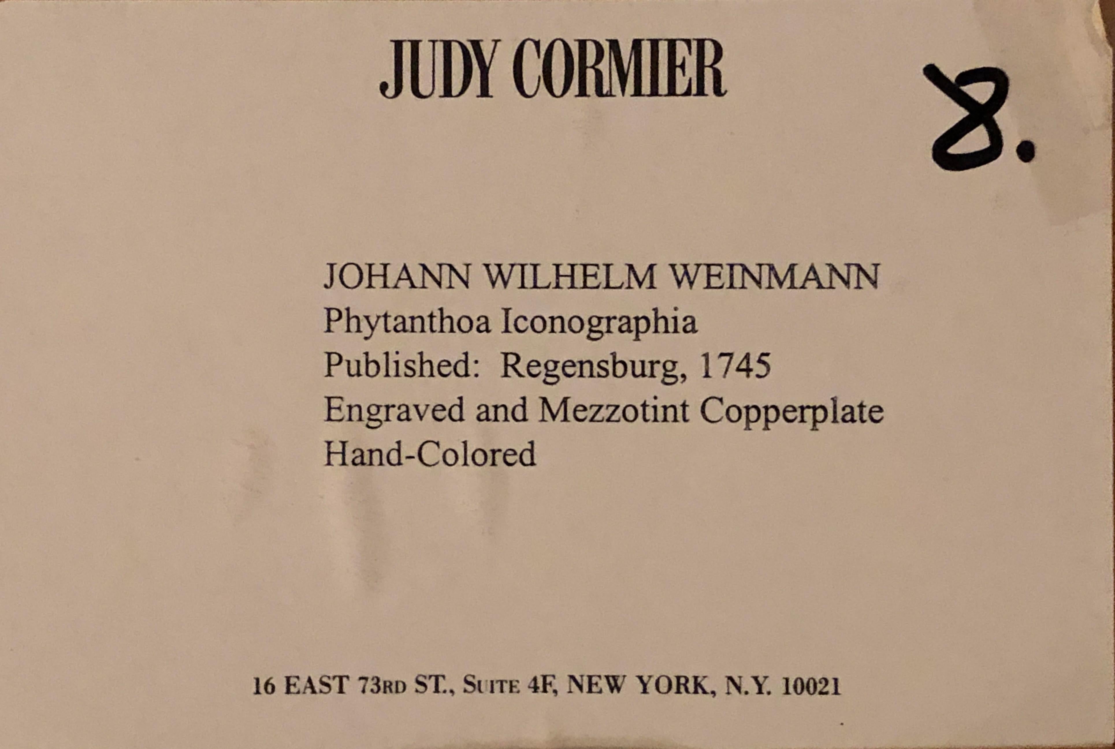 Johann Weinmann Eight Mezzo Tint Copper Plate Engraving Fine Frames In Good Condition In Stamford, CT