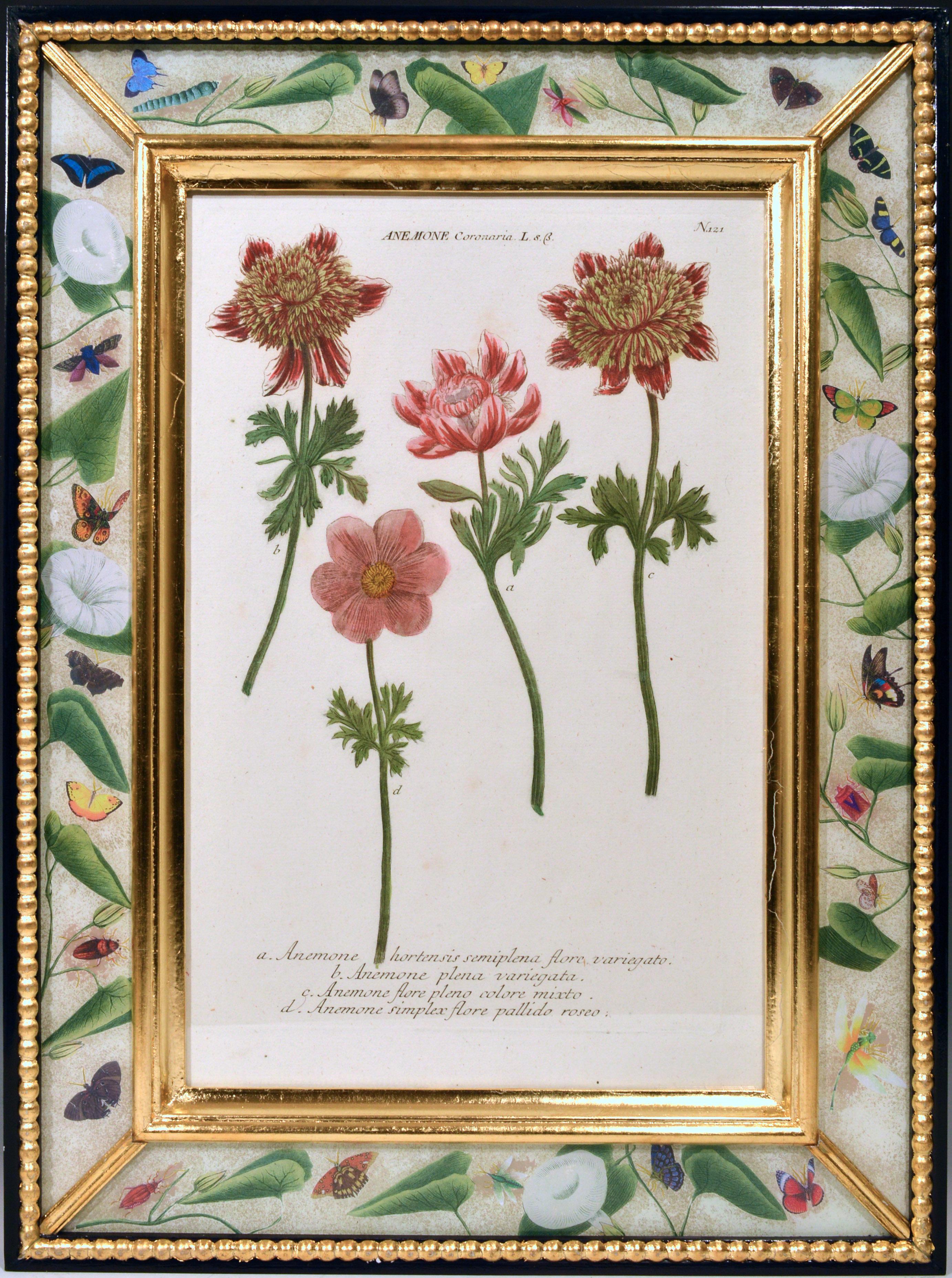 Johann Weinmann Engravings of Flowers, a Set of Twelve, circa 1740 4