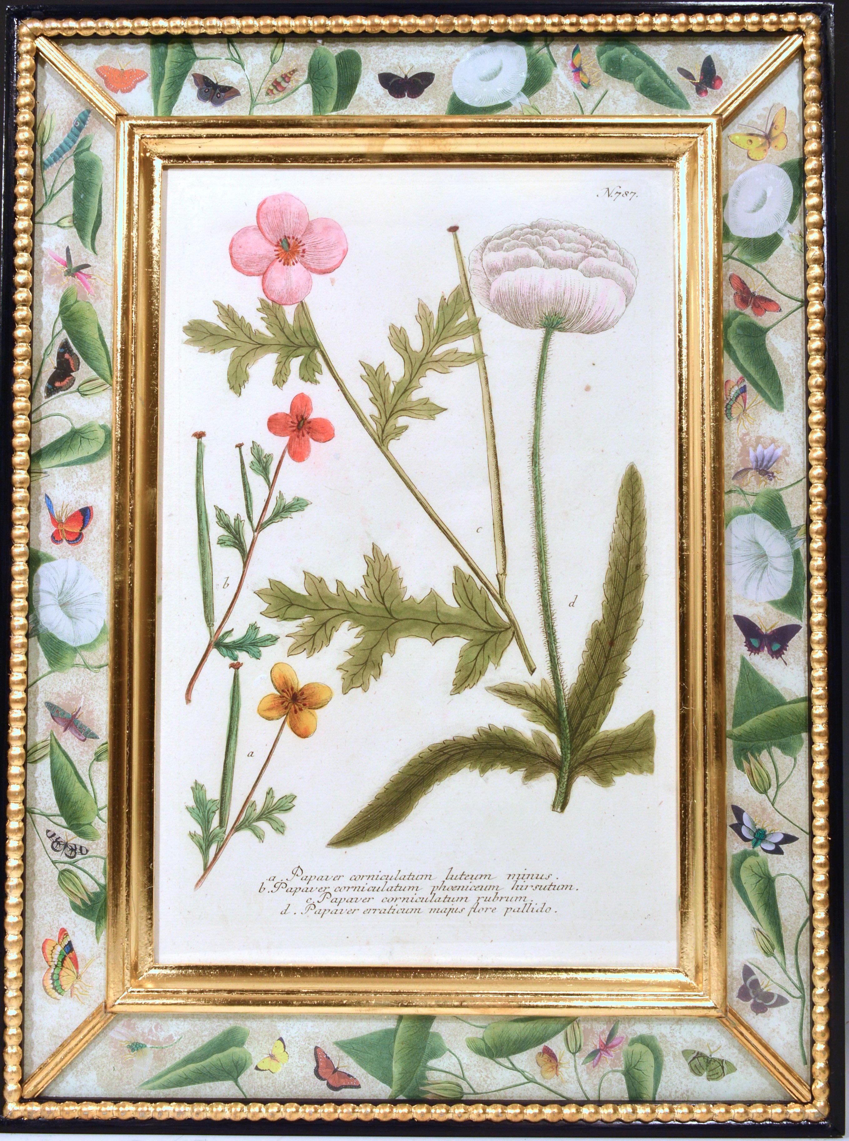 Johann Weinmann Engravings of Flowers, a Set of Twelve, circa 1740 6